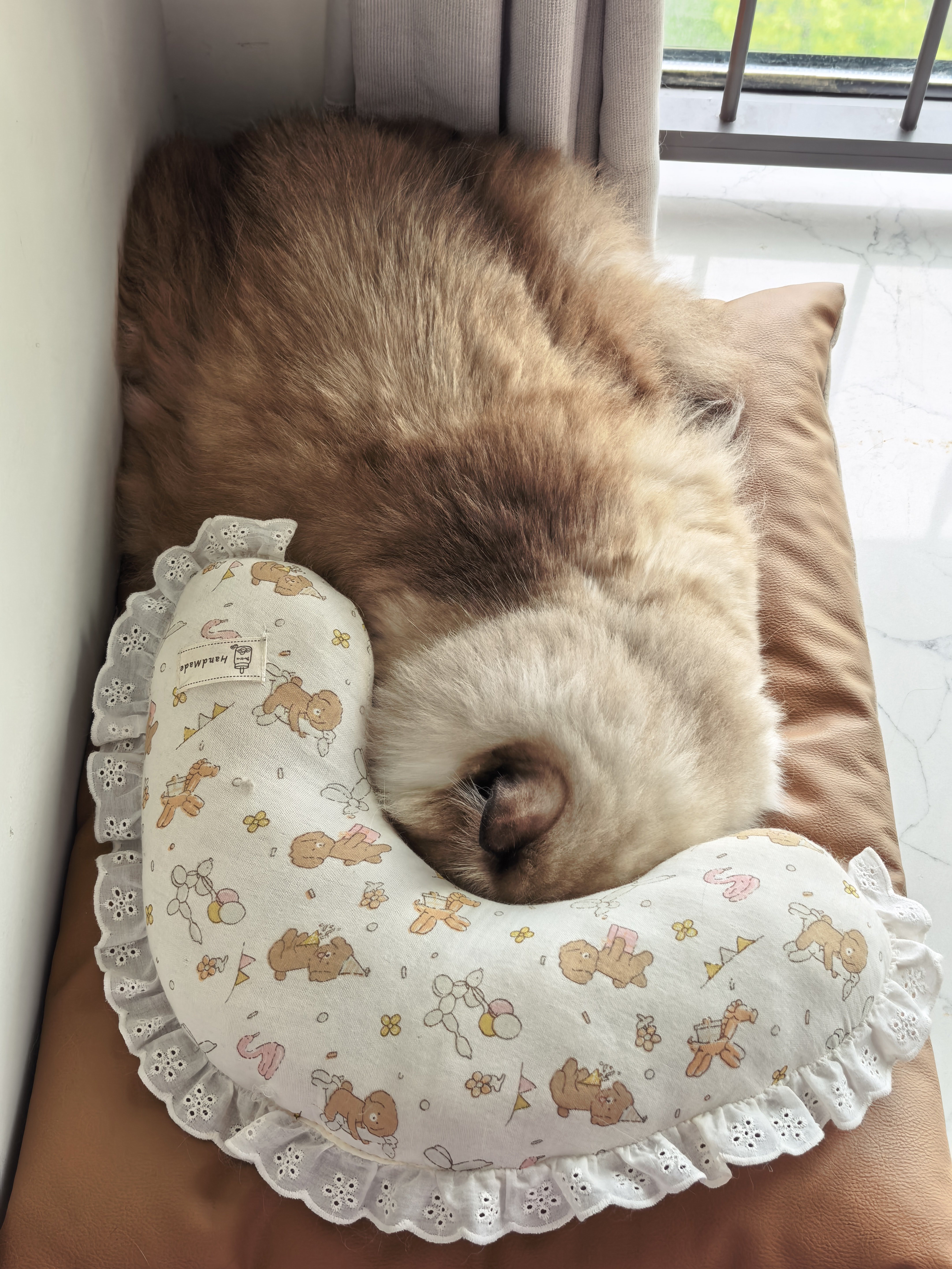 出月子中心了，回家了。回家第一件事，宝宝很兴奋，白天又没睡。但是猫大人就很 em