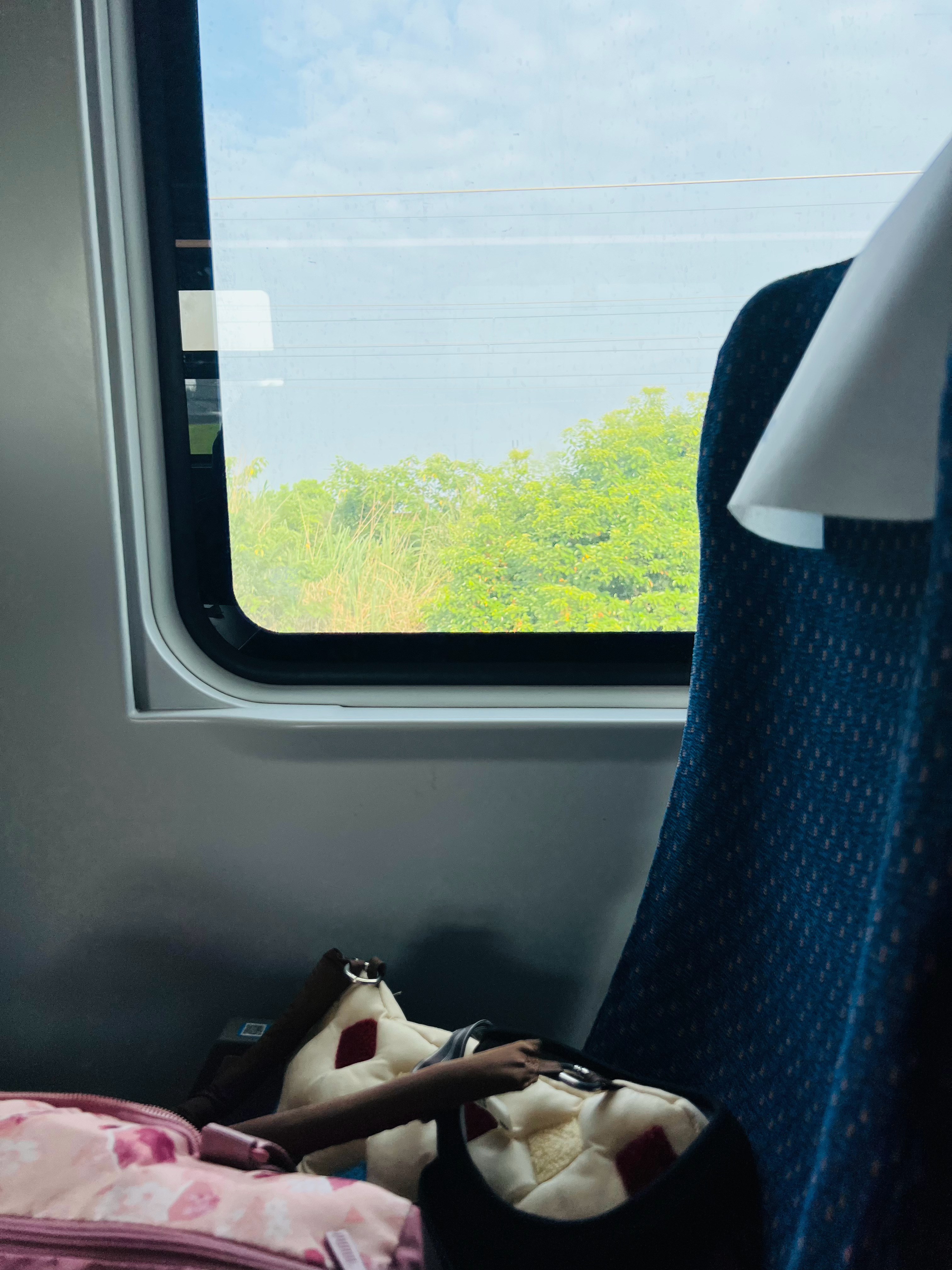 🍃一场毫无预案，临时起意的出行。☁️｜丙午·乙未·己丑·戊辰 