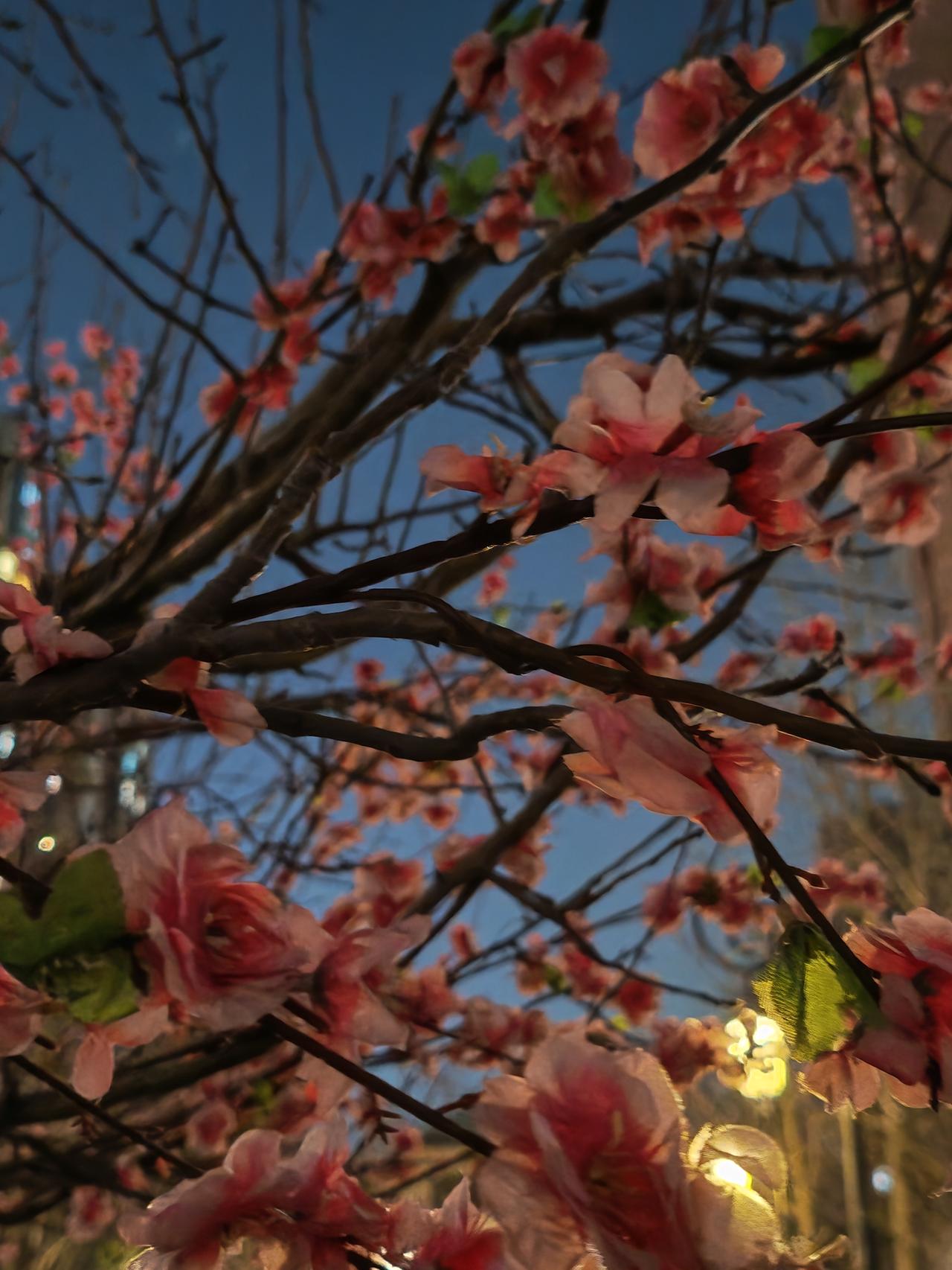 华为ADS 4.1版的确强得一批。

这才是ADS该有的样子。

不过华为这次版