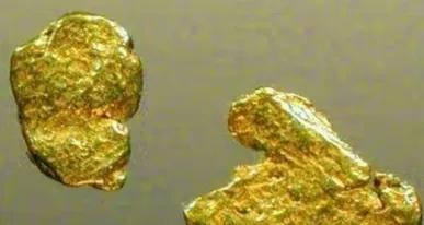 1980年，沈阳妇女黄淑珍带着3斤黄金来银行兑换。工作人员一眼就看出来她拿来的是