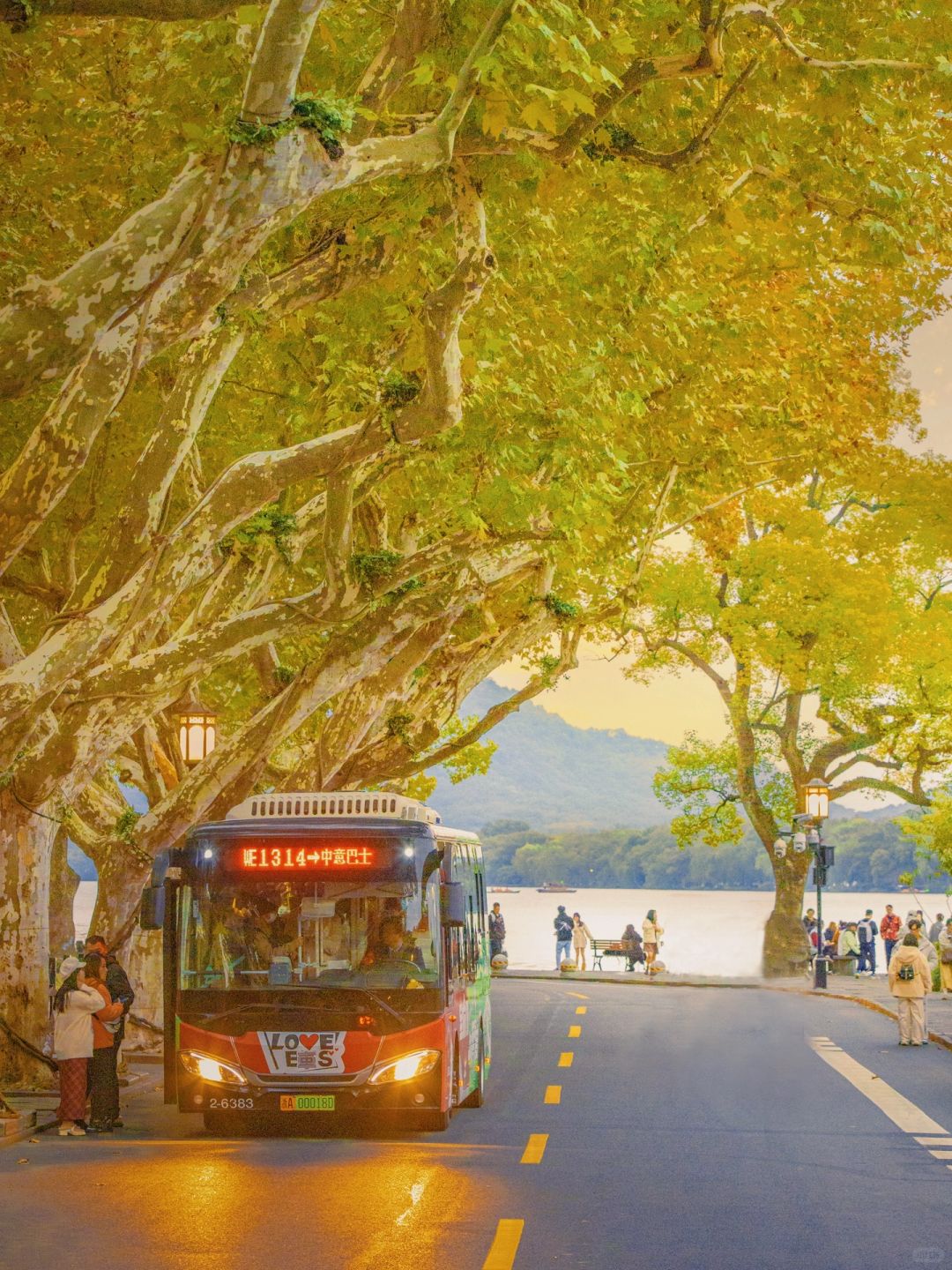 西湖最美拐角🚌WE1314❤️简直不要太浪漫啦❗️