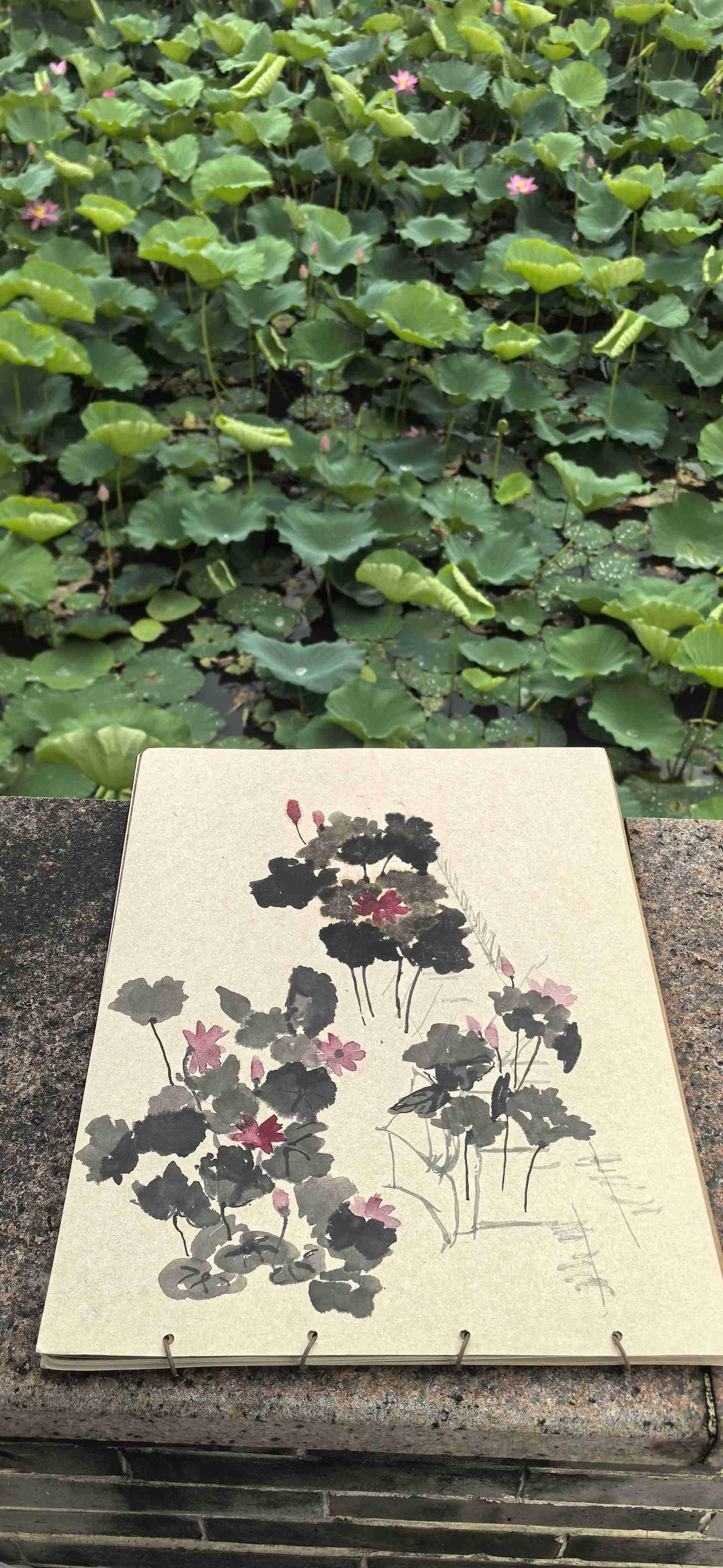 我的今日状态：🏝️旅行度假
我这里的天气：☀️晴天  晒秋日打卡 我在家乡晒风