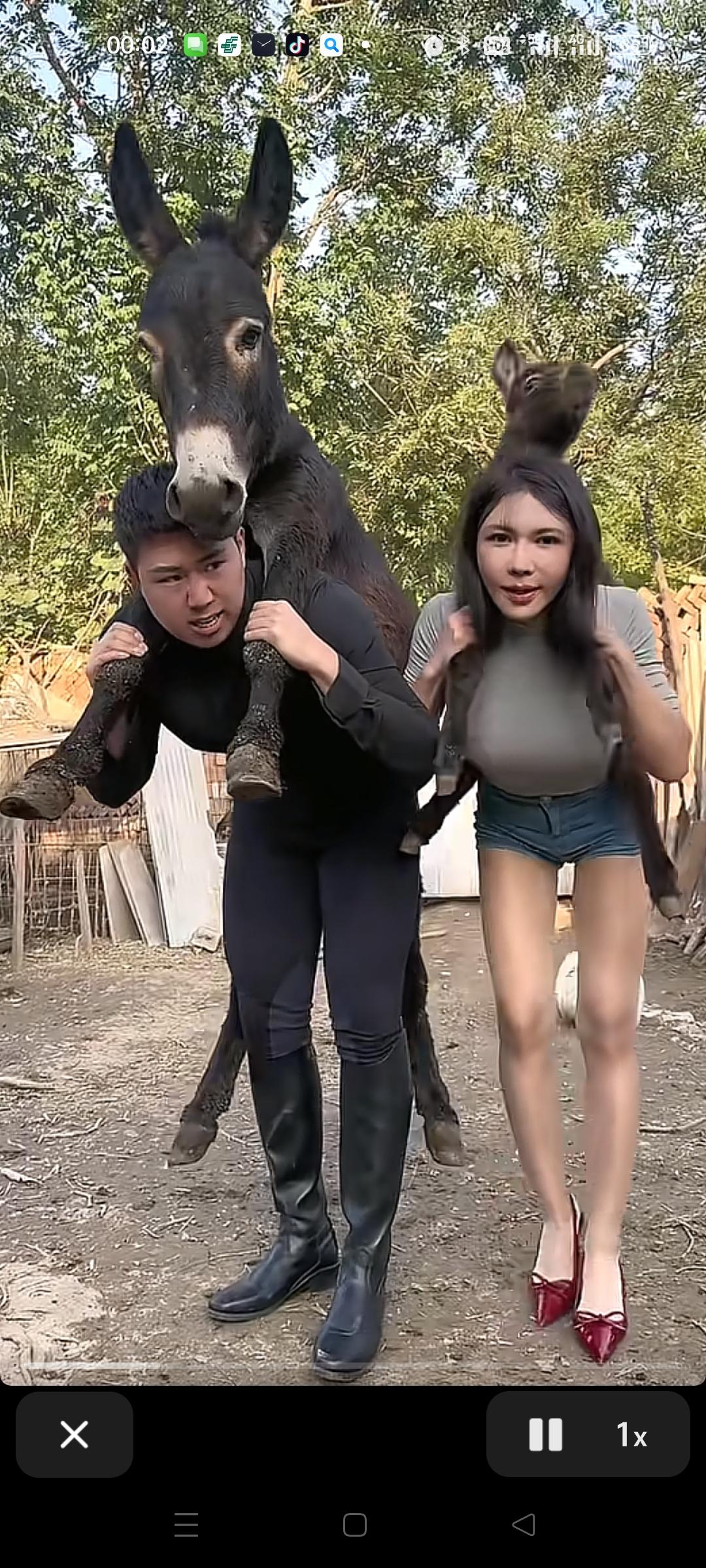 背驴原来也会传染啊，
现在不光李明轩背驴，
龚玥菲也开始背驴了，
为了拍个视频，