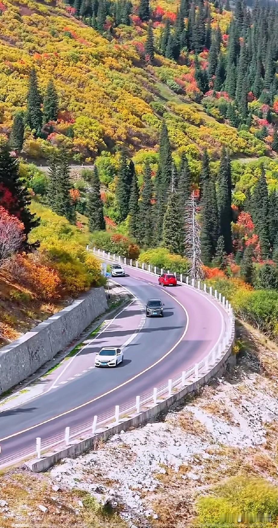 在这样的公路上开车，满眼都是美丽的风光，仿佛是在画中开车一样，可谓车在画中走，人