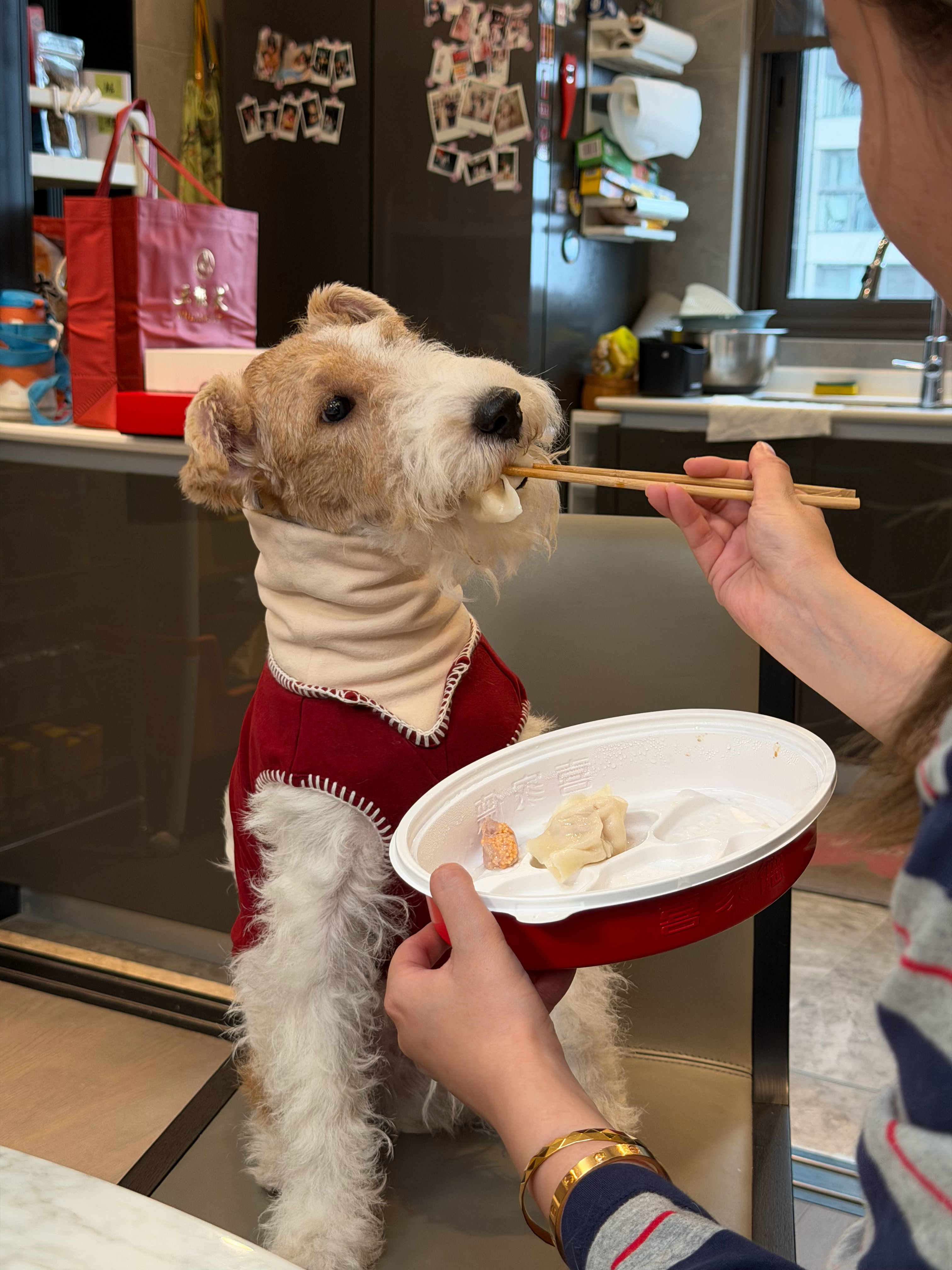 新年祝大家旺旺旺旺旺！ 苏州