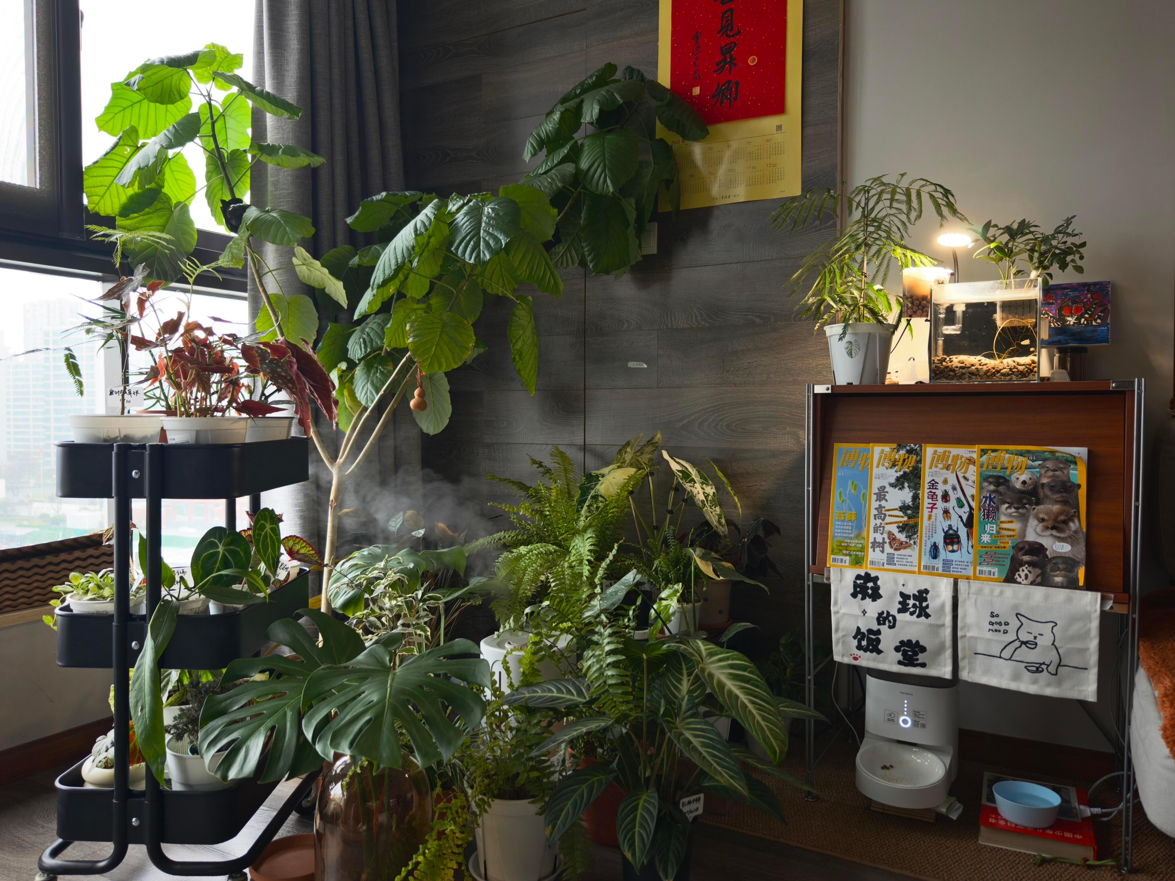 2026年都要生机勃勃新年的第一天，老时间起来，做一杯奶咖，打开加湿器和空调，坐