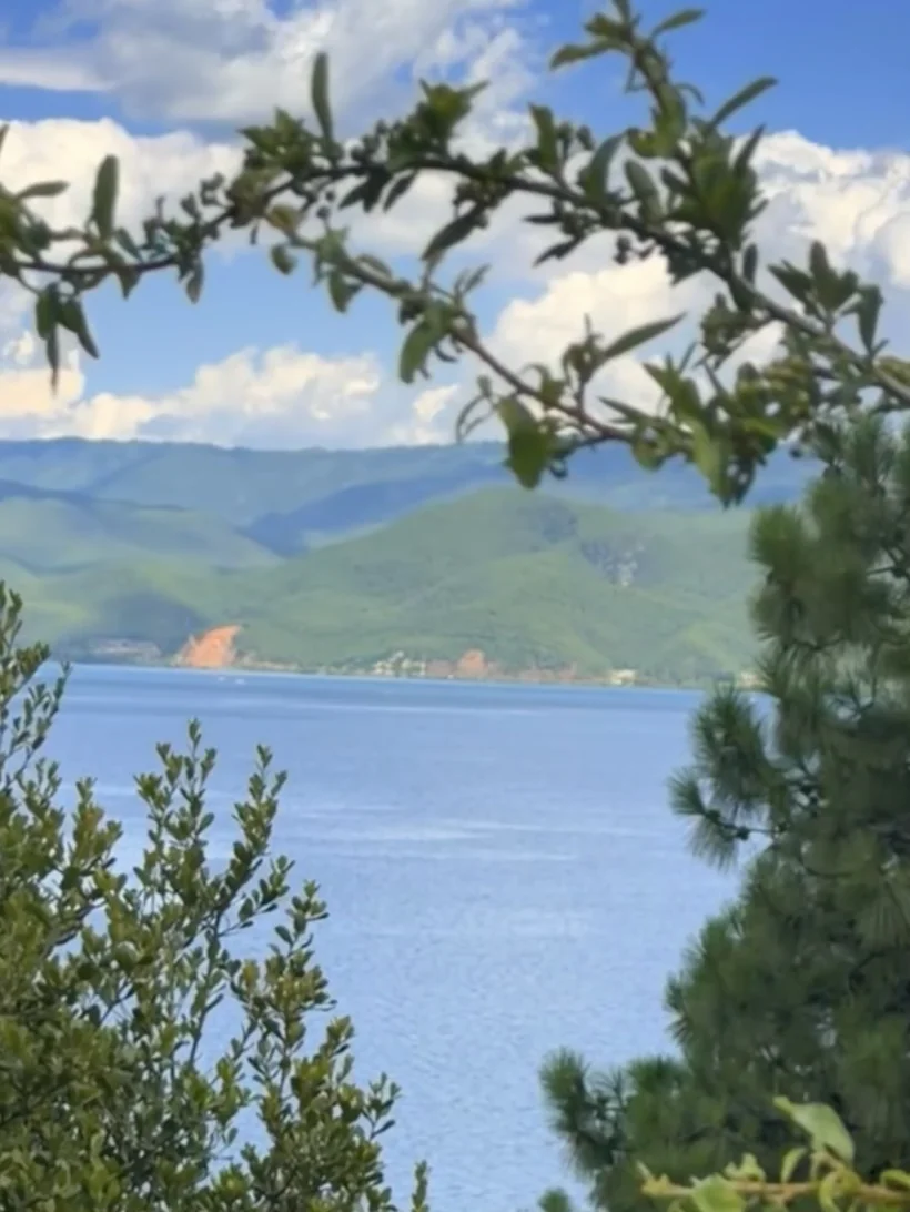 海👋