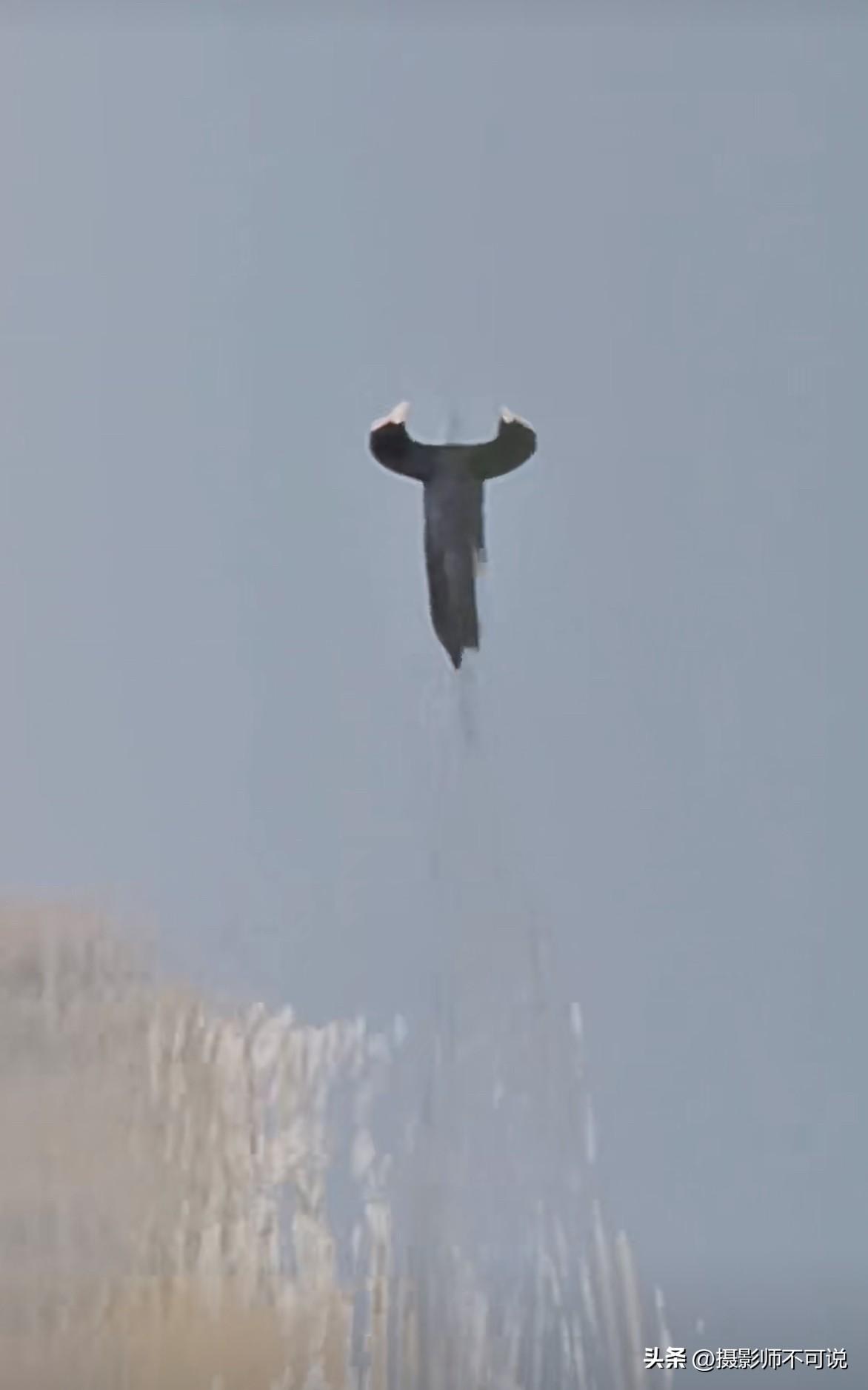 来，发挥一下你的丰富想象力，看看你脑海中的妖魔鬼怪和珍稀动物，有没有一个能对应上