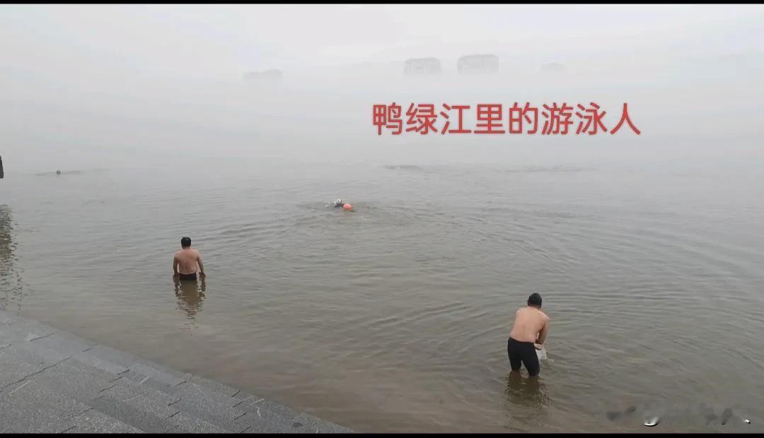 夏日生活打卡季每天早上鸭绿江里总有一群热爱游泳的游泳人。看着水中游泳的矫健身姿，