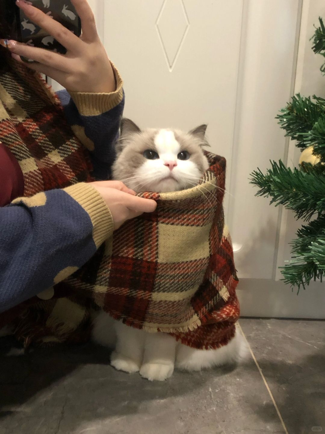 我感觉我们有点暧昧了…