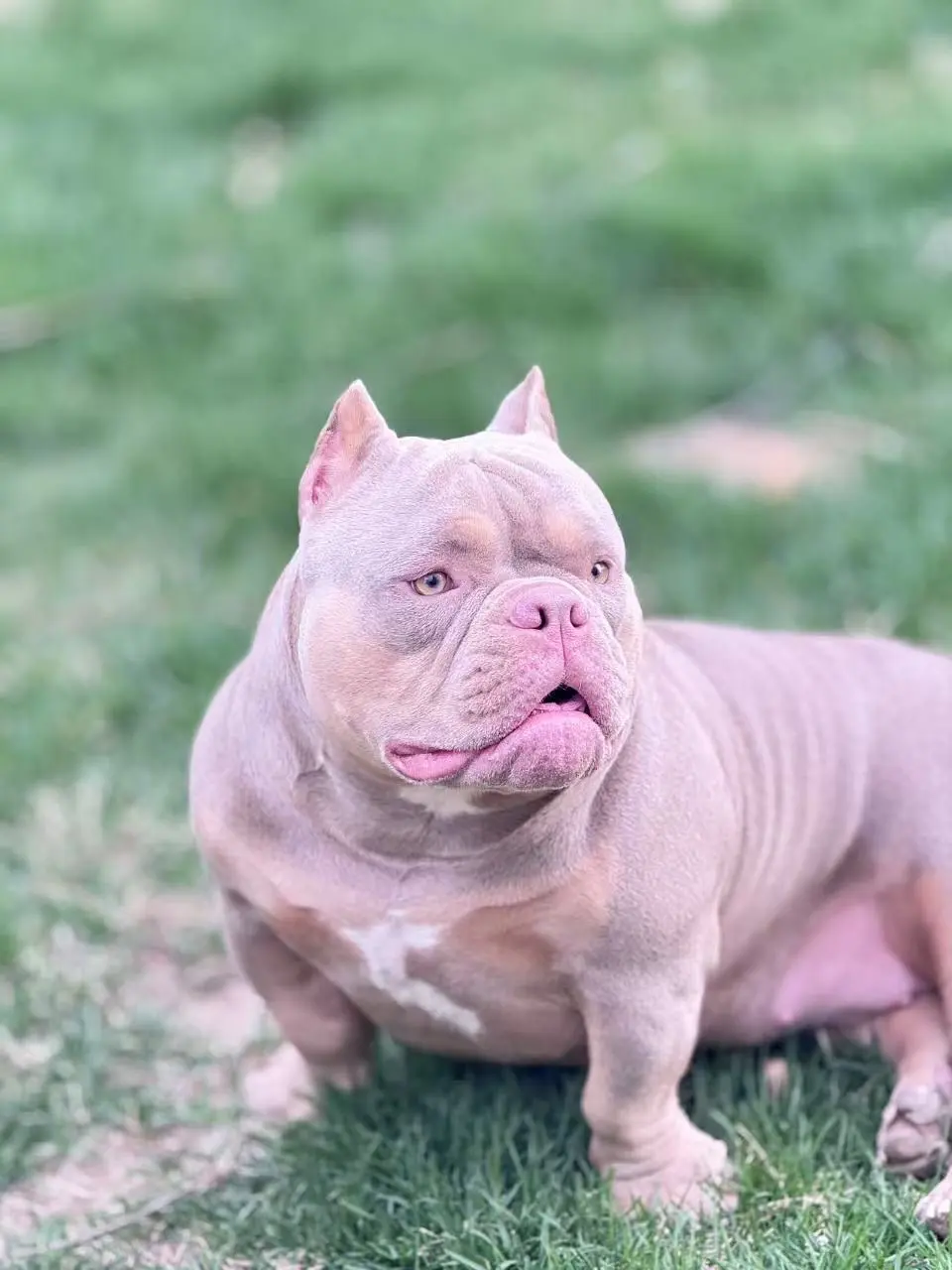 我就往这一站  姨姨们就得夸我好看