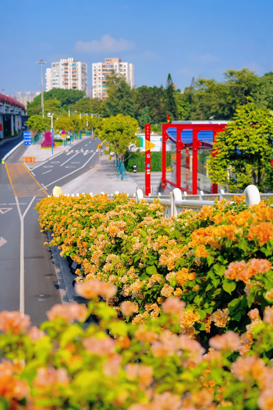 花城广州出地铁就是座爆花天桥！10.11实拍
