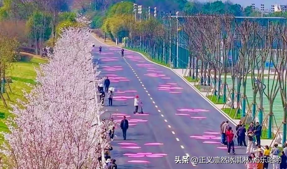 潘元晨在2026年汉马的表现堪称惊艳，实现了从全马健将到半马冠军的漂亮转身。28