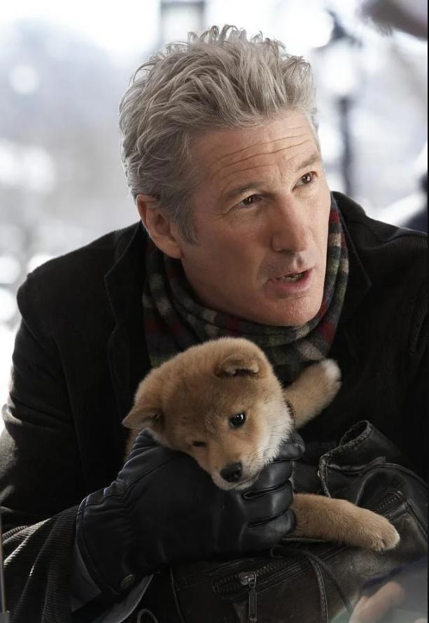 《忠犬八公》：在无望的守望中，看见超越物种的爱与时间。

故事开始在一个日本的小