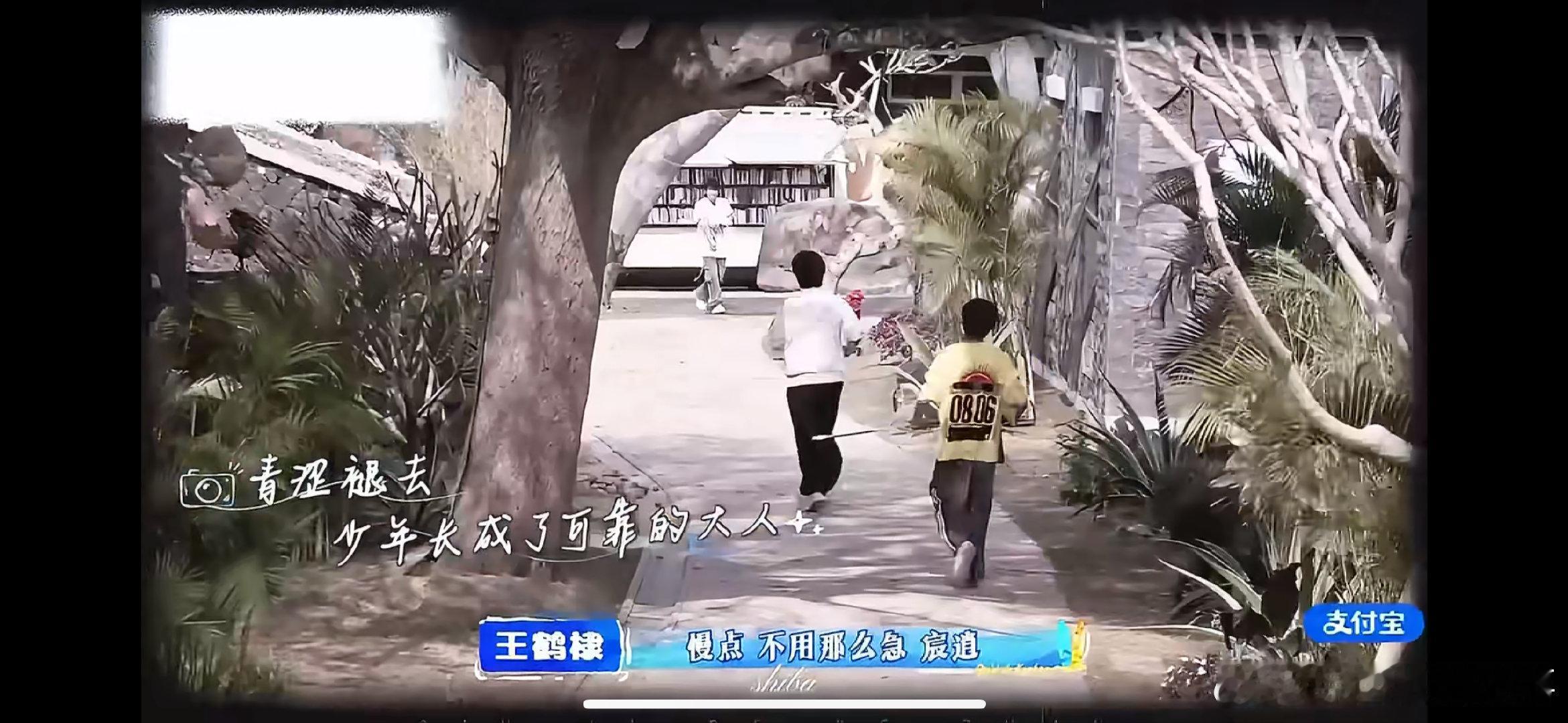 用SBTI的方式打开客栈主理人亲爱的客栈这波SBTI太会了！完美诠释王鹤棣在亲爱