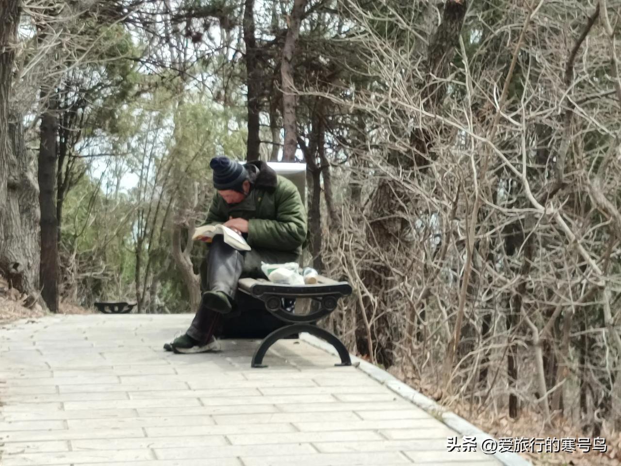 爱读书流浪者

在滨海路上这座小山里，很多次见到这位流浪者，每次都是在看书，关于