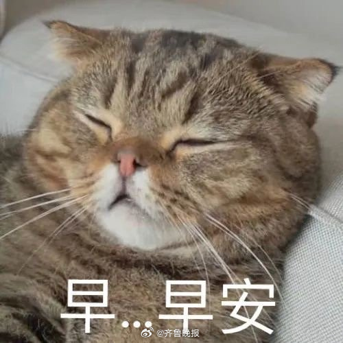 #早安# 不管生活会不会变好，都要让自己变得更好。 