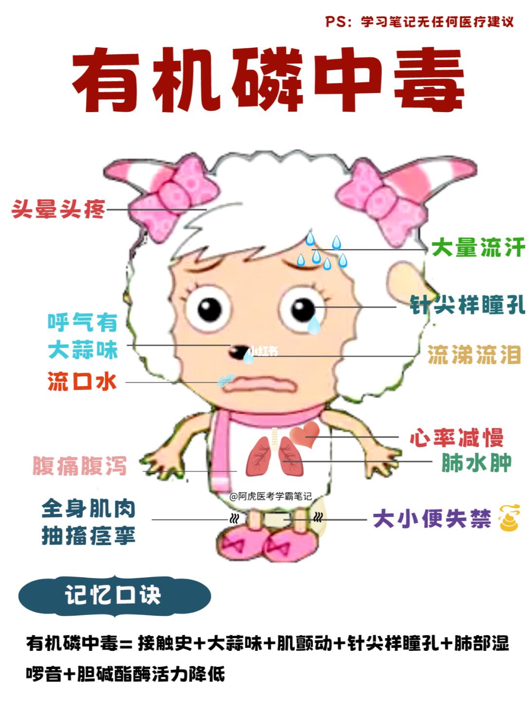 阿虎医考学霸笔记：当美羊羊有机磷中毒！