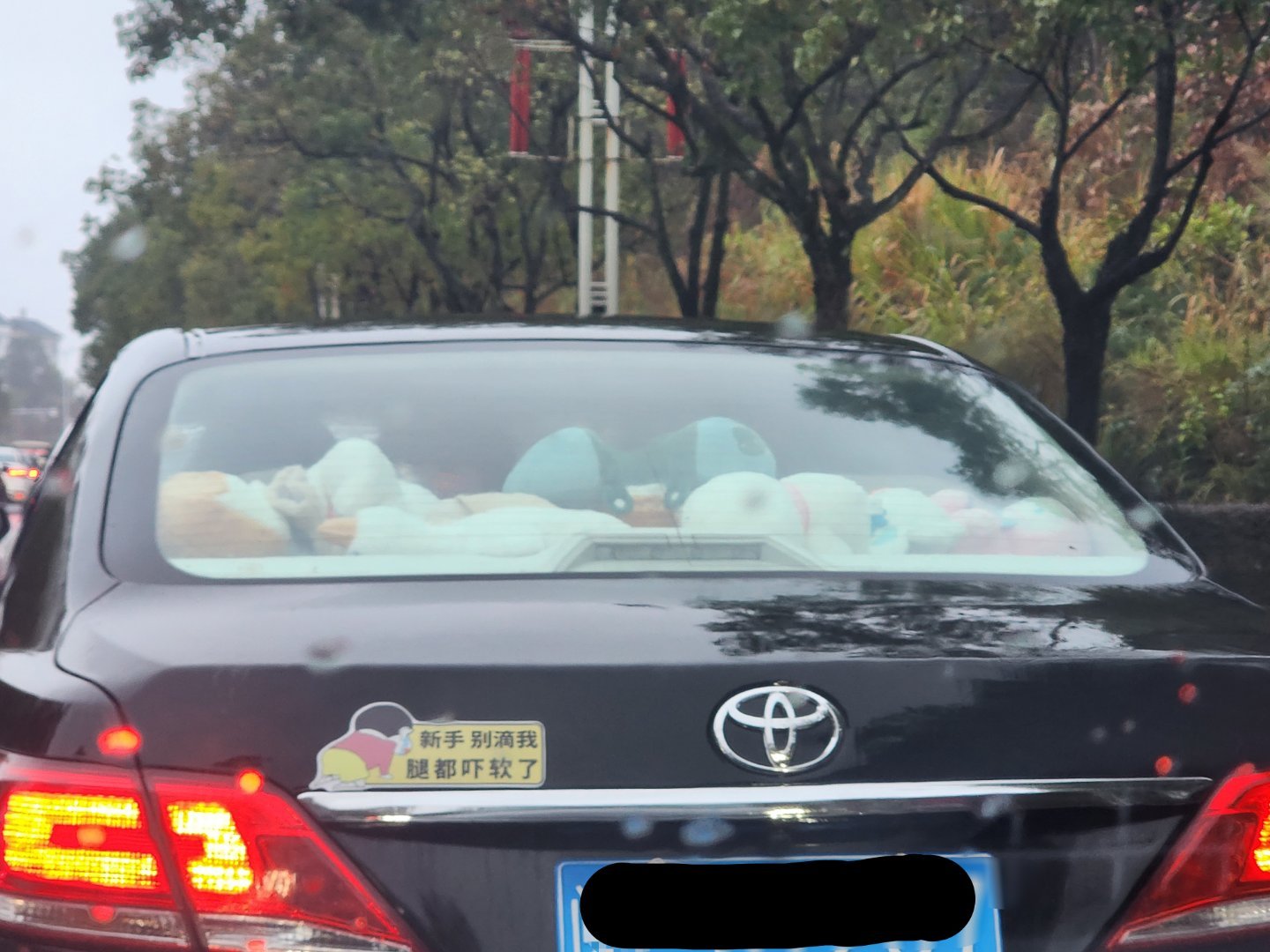 真是可怜之人必有可恨之处，这后窗堆这么多乱七八糟的东西后视镜里还能看见个啥？