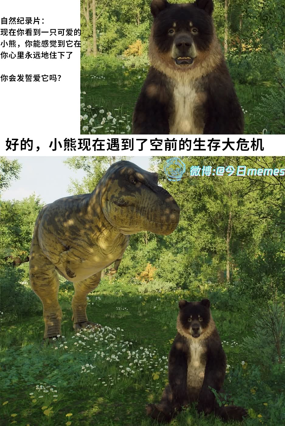 龙龙别（9gag） 今日meme[超话]   