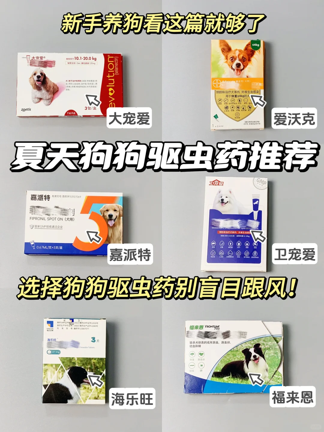 经验教训！夏天狗狗驱虫药就买这些！