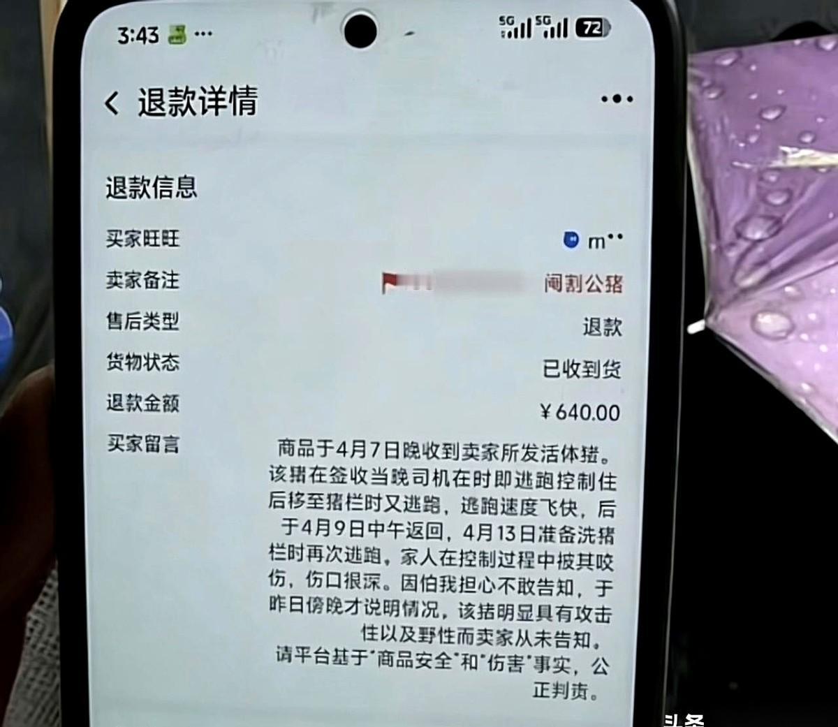 杭州肖大姐卖了三头跑山黑猪，1890块。结果买家圈栏没关好，跑了一头。对方二话不