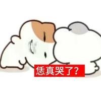 和一个小朋友一块拍视频她的好清楚！我的像清朝画质！我大惊：你这个手机多少钱啊？她