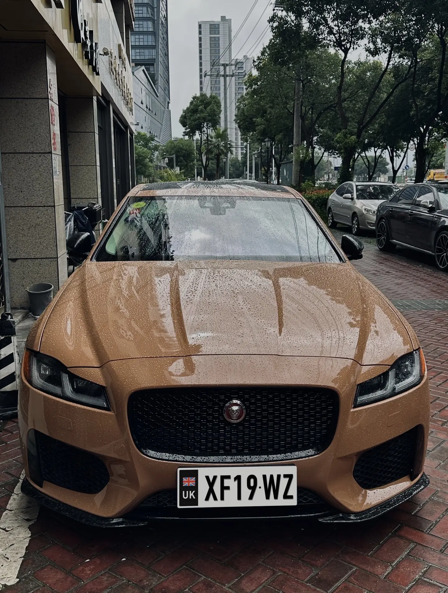 Chocolate Jaguar XF.