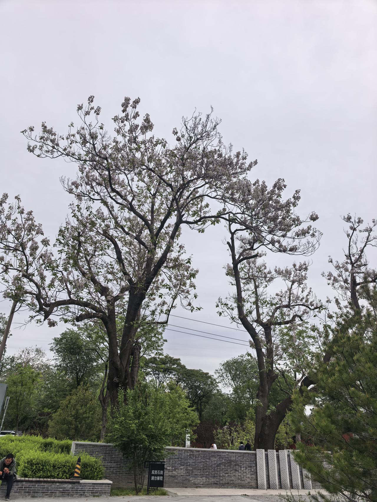北京五塔寺（石刻艺术博物馆）（1）门前