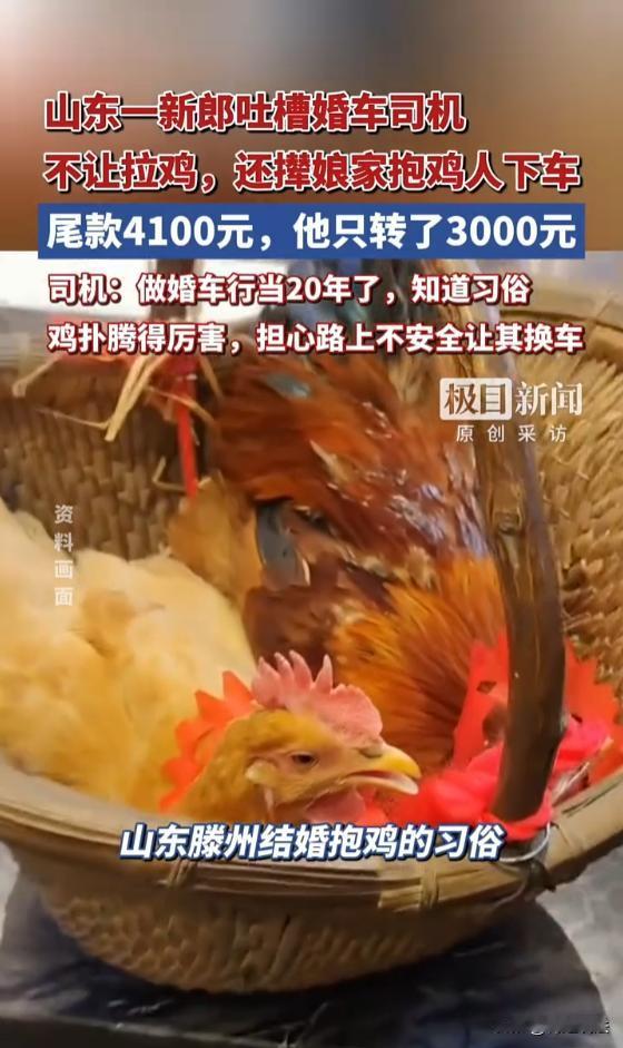结婚抱鸡的习俗你知道吗？山东枣庄，一男子吐槽自己请的婚车司机不让拉鸡，还撵娘家抱