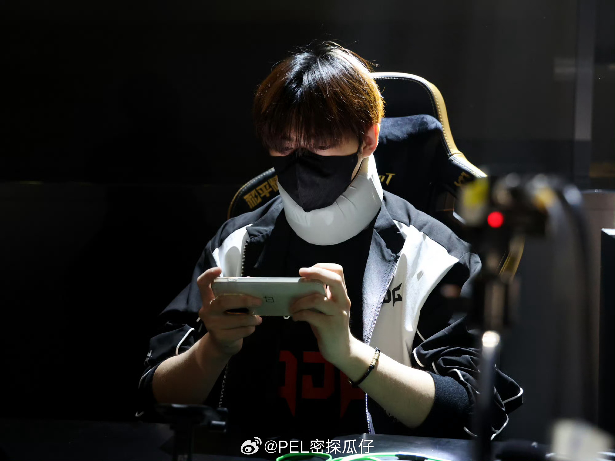 赛前返图来啦！比赛加油真正的降维打击来了2026PEL夏季赛