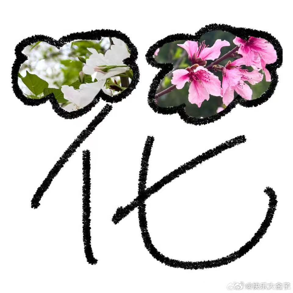 花花花式晒花花 花花拍的花，还挺有创意的哈哈AG和平精英