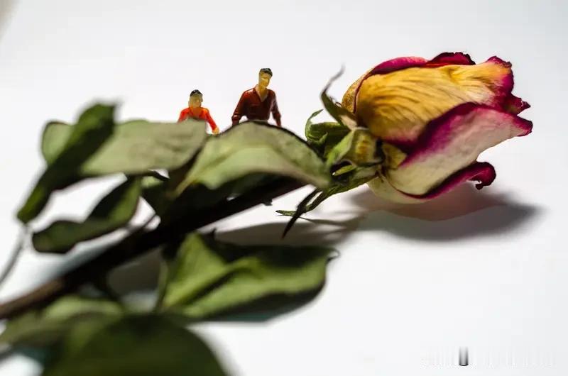 为结婚砸锅卖铁买了房，最后却落得个分手的下场，这得多让人崩溃啊！可这哥们儿偏不按