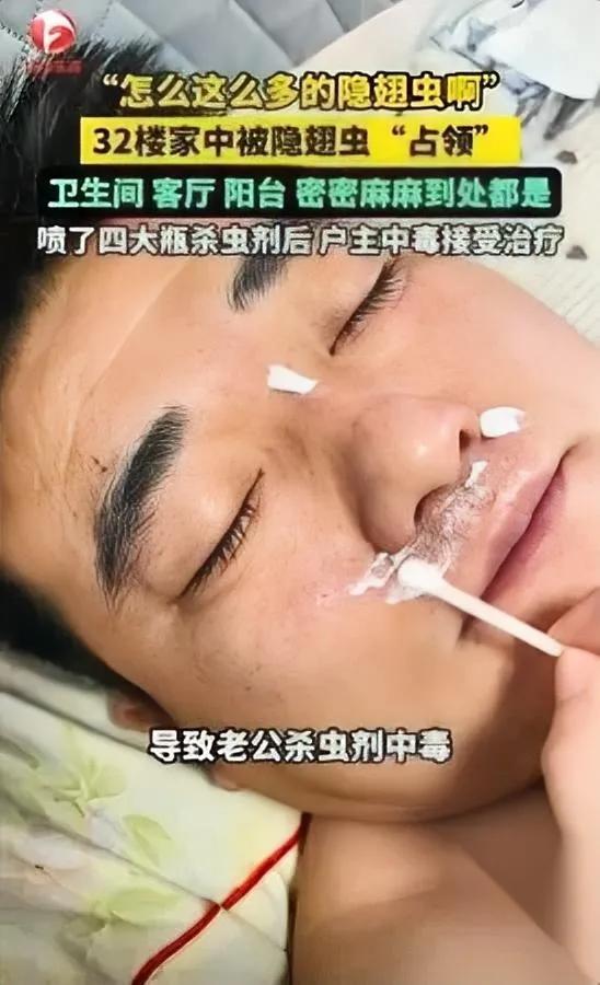 隐翅虫泛滥！32楼住户急了

连喷4瓶后丈夫进了医院

家人们谁懂啊！安徽宿州的