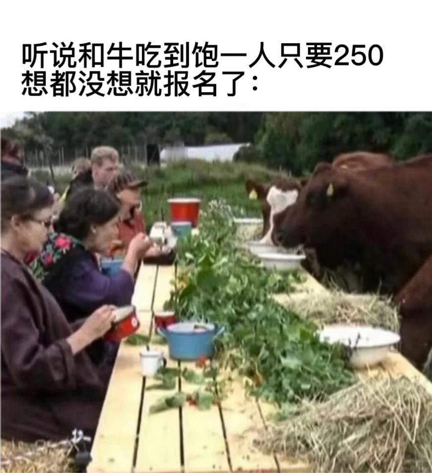 值了 