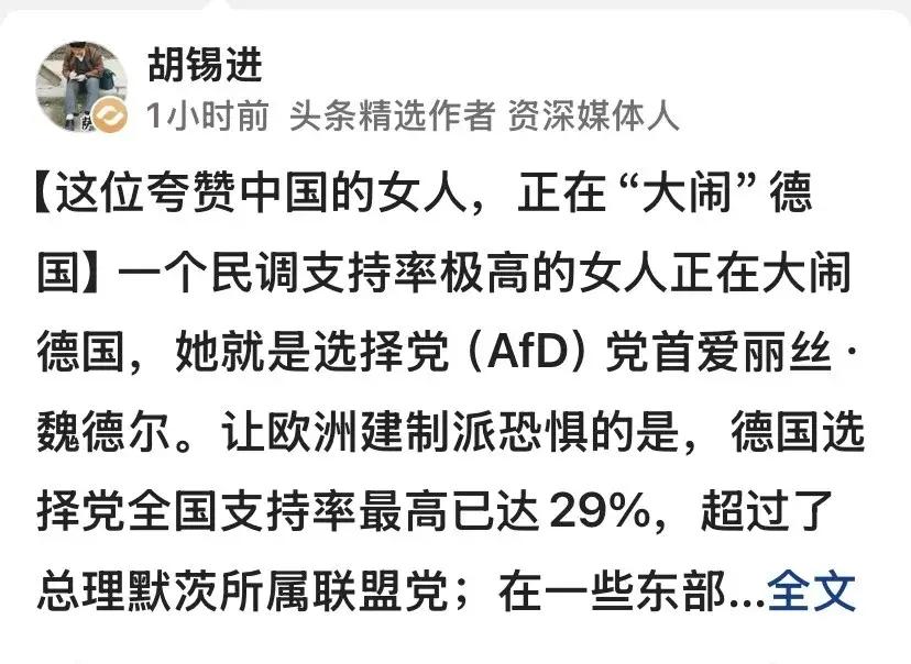 胡锡进谈夸赞中国的德国政客 胡锡进在外国政客夸赞中国这事上总整出些幺蛾子。之前委