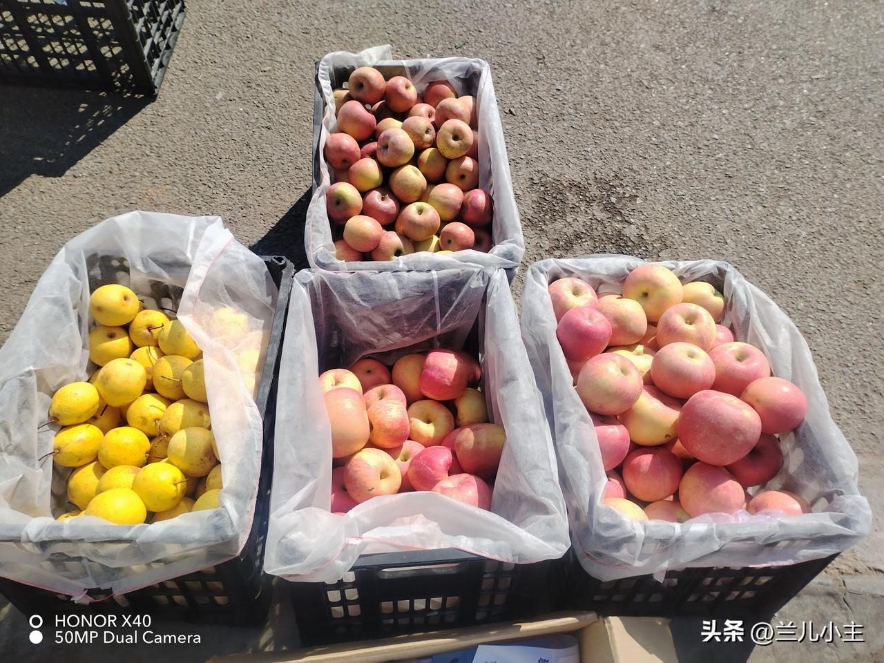 新年新气象，无论做什么都要努力参与，“莫道桑榆晚，为霞尚满天。”真的希望自己退休