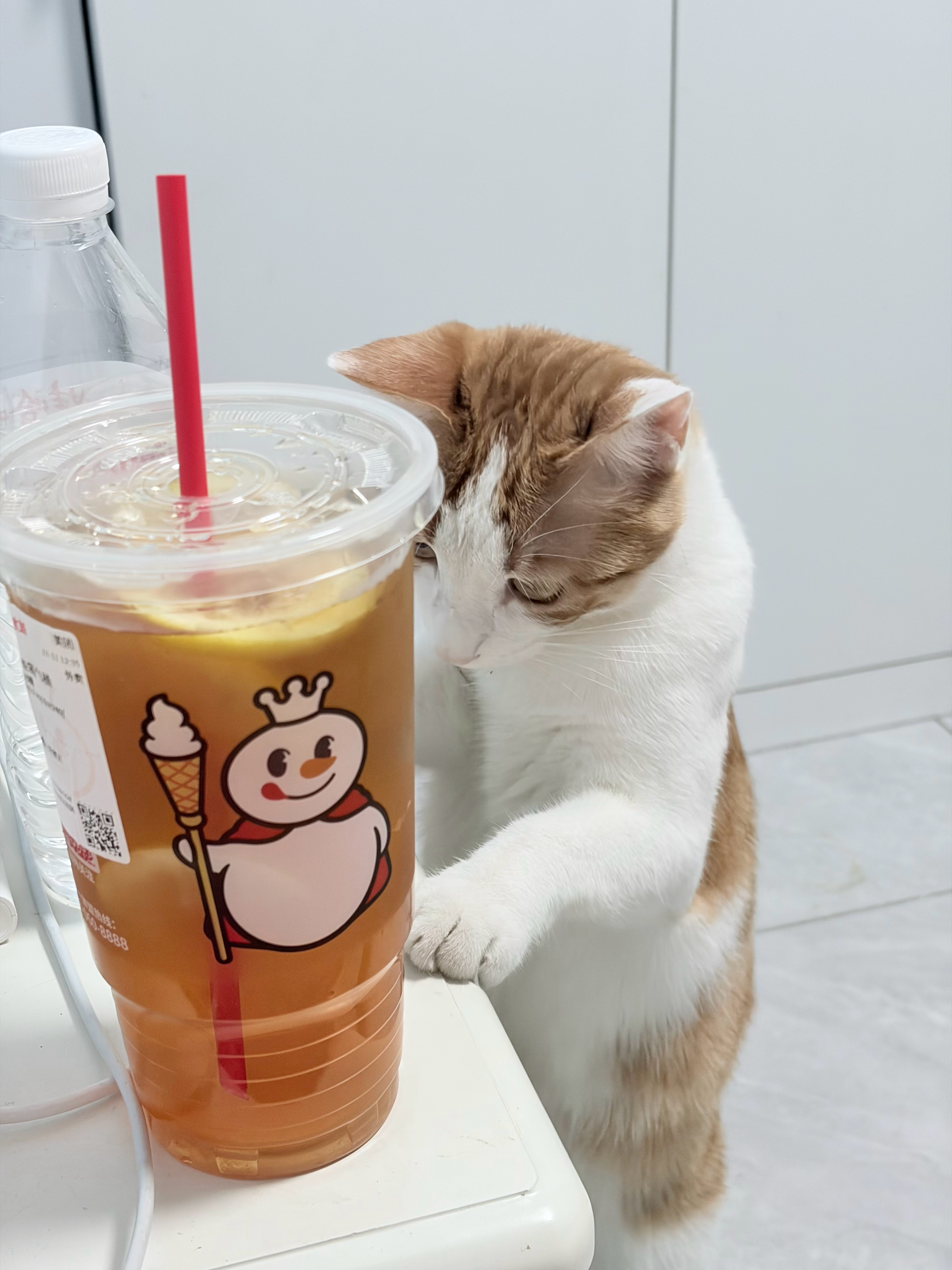 臭黄毛一天到晚手欠[怒] ​​​
