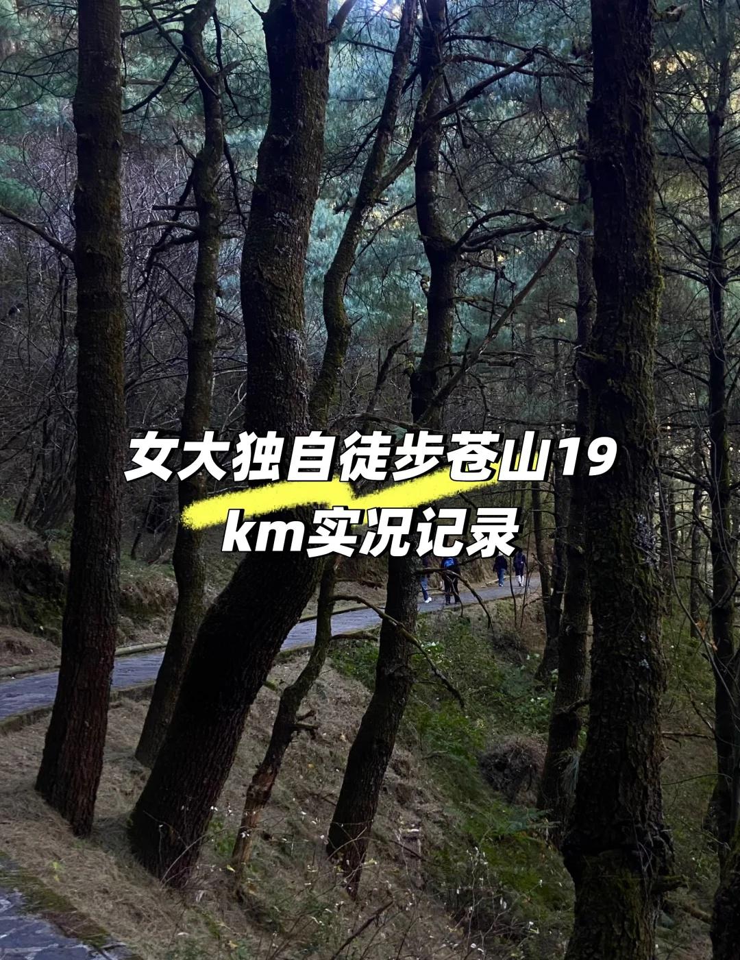 苍山徒步❗️你们嘴可真严啊❗️（附攻略）
跟着攻略走，19km徒步的苦真是一点也