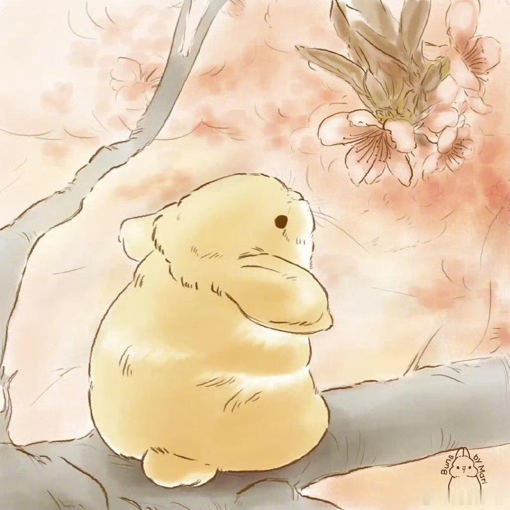 读书是一场精神的破茧我的私人宝藏书单书评 我轻松愉快走上大路，我健康自由，世界在