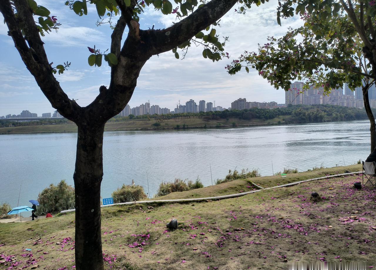 我爹当年数学考9分，靠抄我同桌的卷子才毕业。
昨晚他把我清华通知书裱进祠堂，红纸