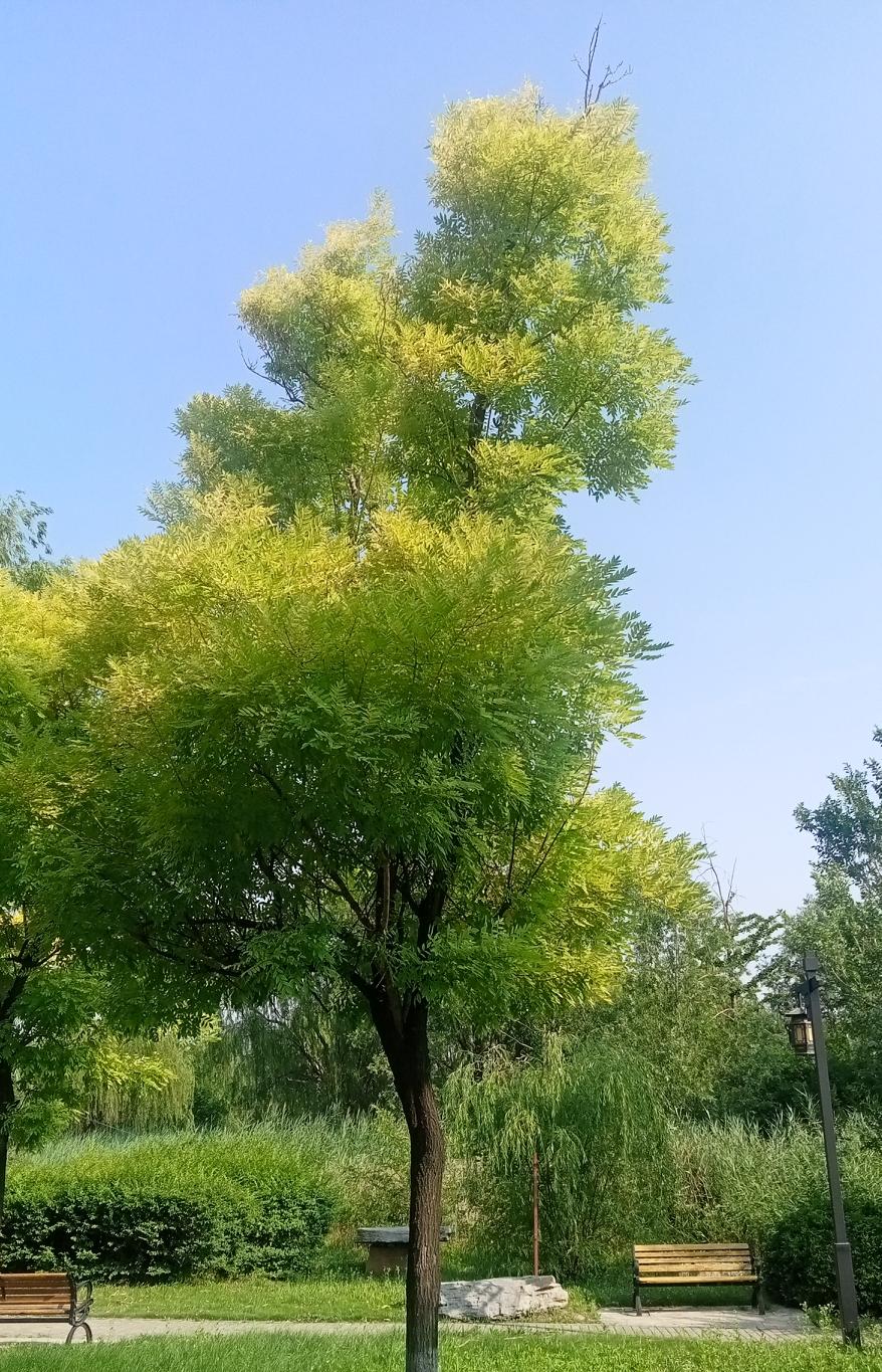 按档案的年龄退休，这是本人的切身体会。