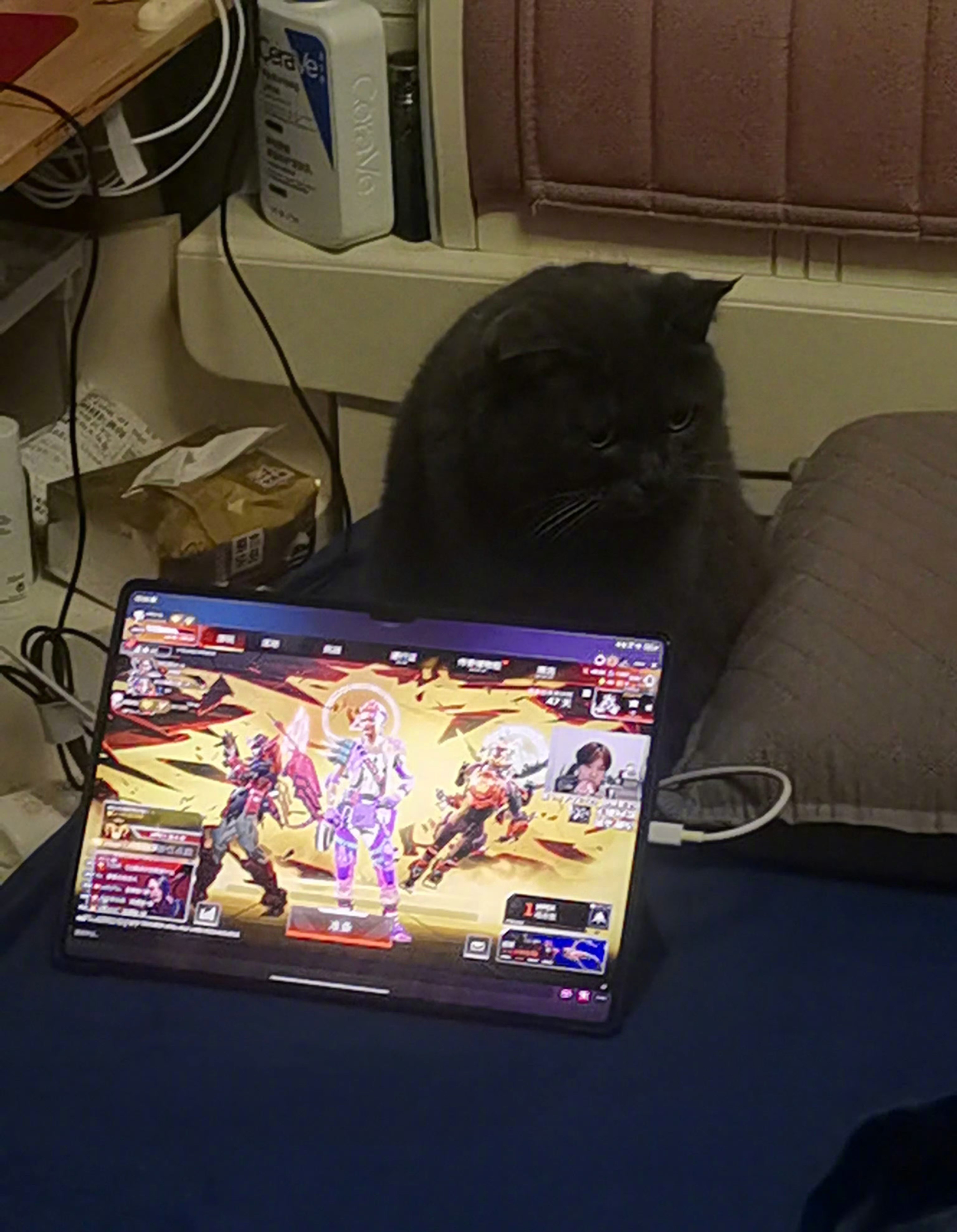 竞技体育，就是和平年代的战争！说只一款射击游戏，在Apex赛场一年一度的“世界第