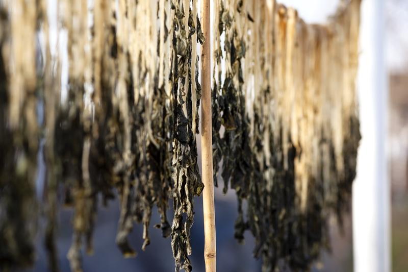 小米粥配咸菜，绝对是我早餐的心头好！小米粥口感软糯，暖乎乎的，喝上一口，从喉咙暖