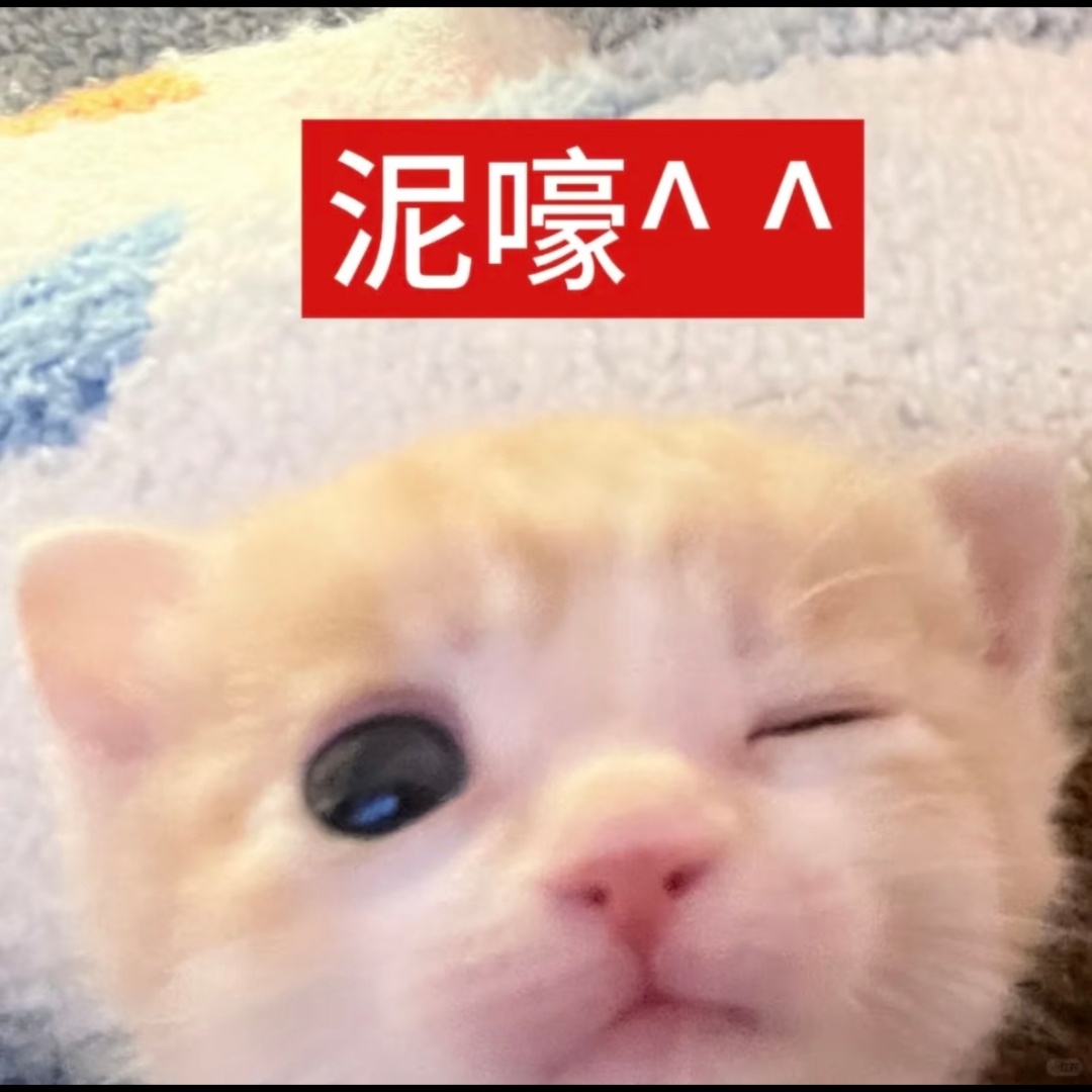 祝我六月之前能收到首尔澳门d2复数 