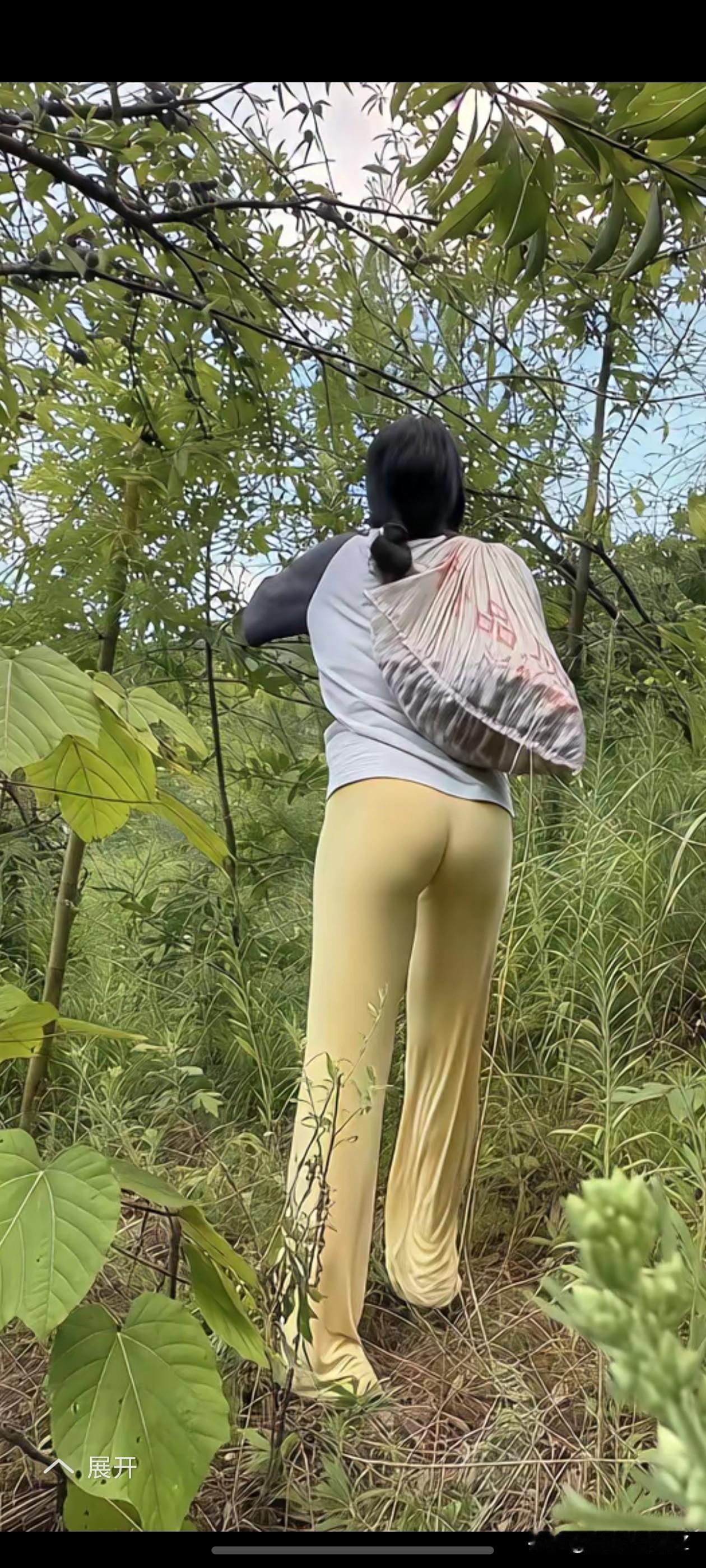 野外大自然魅力无穷