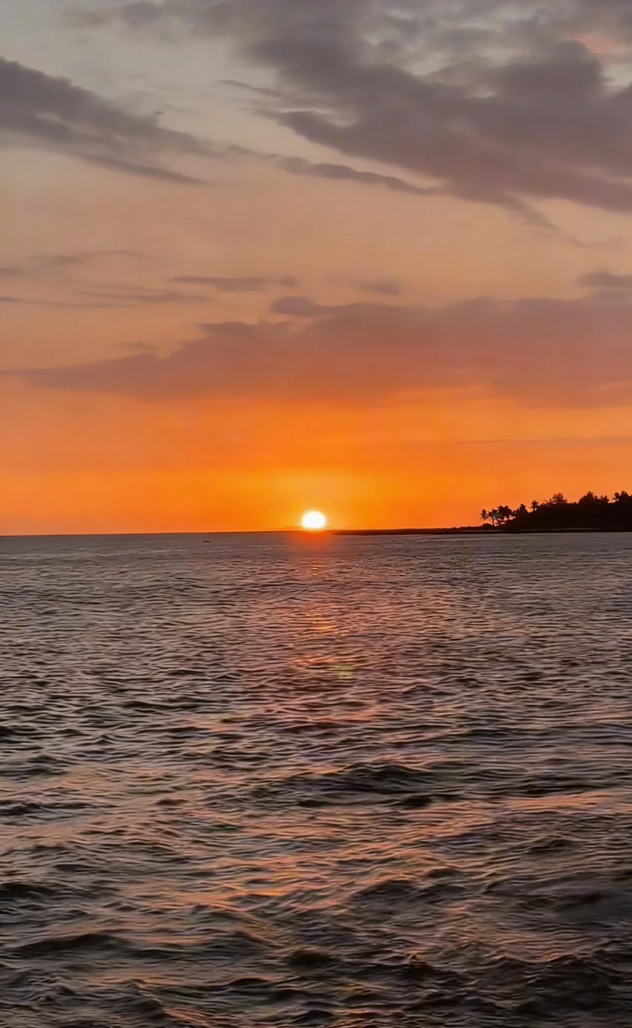 分享一张最近随手拍的照片