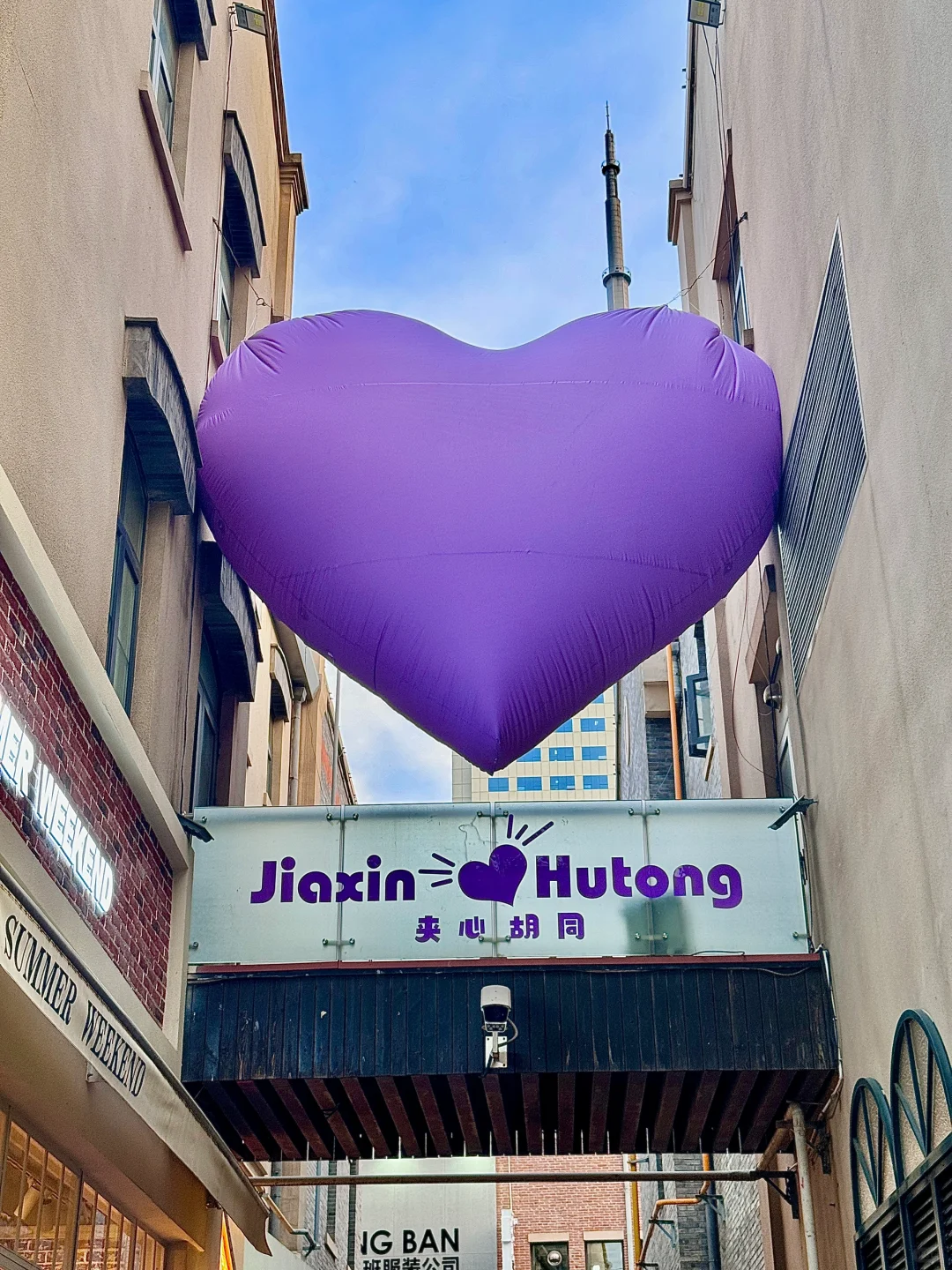 济南经三路💜红到发紫了🥹🥹🥹