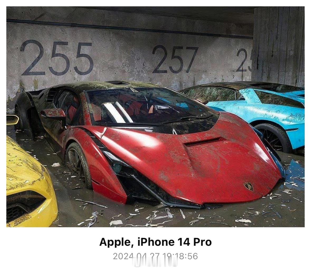 迪拜的洪灾发生过后，当地的豪车车库和经销商车库现状，让人泪目，人类在自然灾害的力