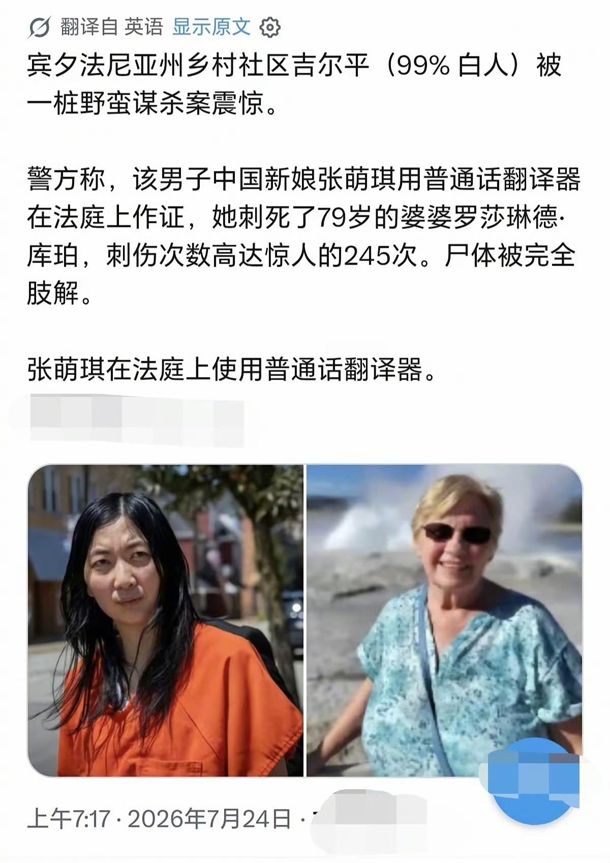 这是多么大的深仇大恨啊，中国儿媳妇砍了美国洋婆婆245刀！!!